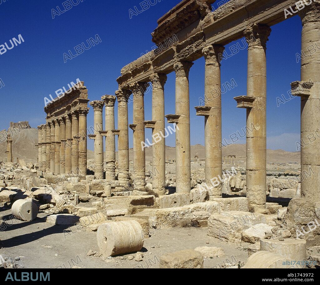 Syriac. Ruins of Palmyra city. Middle East. Colonnade. 3rd century AD. Oasis of Tadmor. Photo taken before the Syrian civil war.