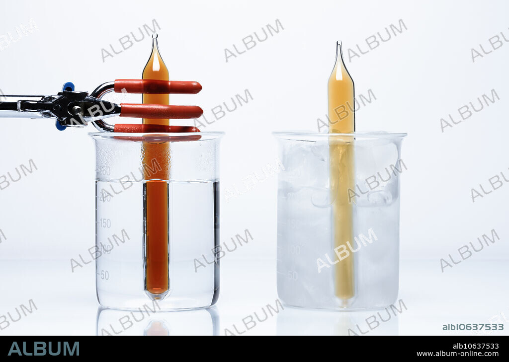 Nitrogen dioxide equilibrium. Nitrogen dioxide (NO2) gas exists in equilibrium with dinitrogen tetroxide (N2O4) gas, 2NO2 N2O4. Two sealed ampoules with nitrogen dioxide are placed in beakers with hot water (left) and ice water (right). According to Le Chatelier's principle higher temperature shifts the equilibrium to nitrogen dioxide (brown colour) while lower temperature shifts the equilibrium to dinitrogen tetroxide (colorless).