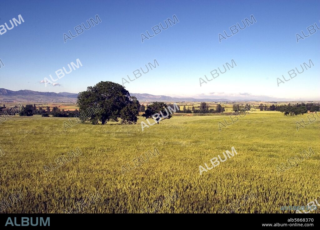 La Bureba; paisaje mesetario entre Briviesca y Poza de la Sal.