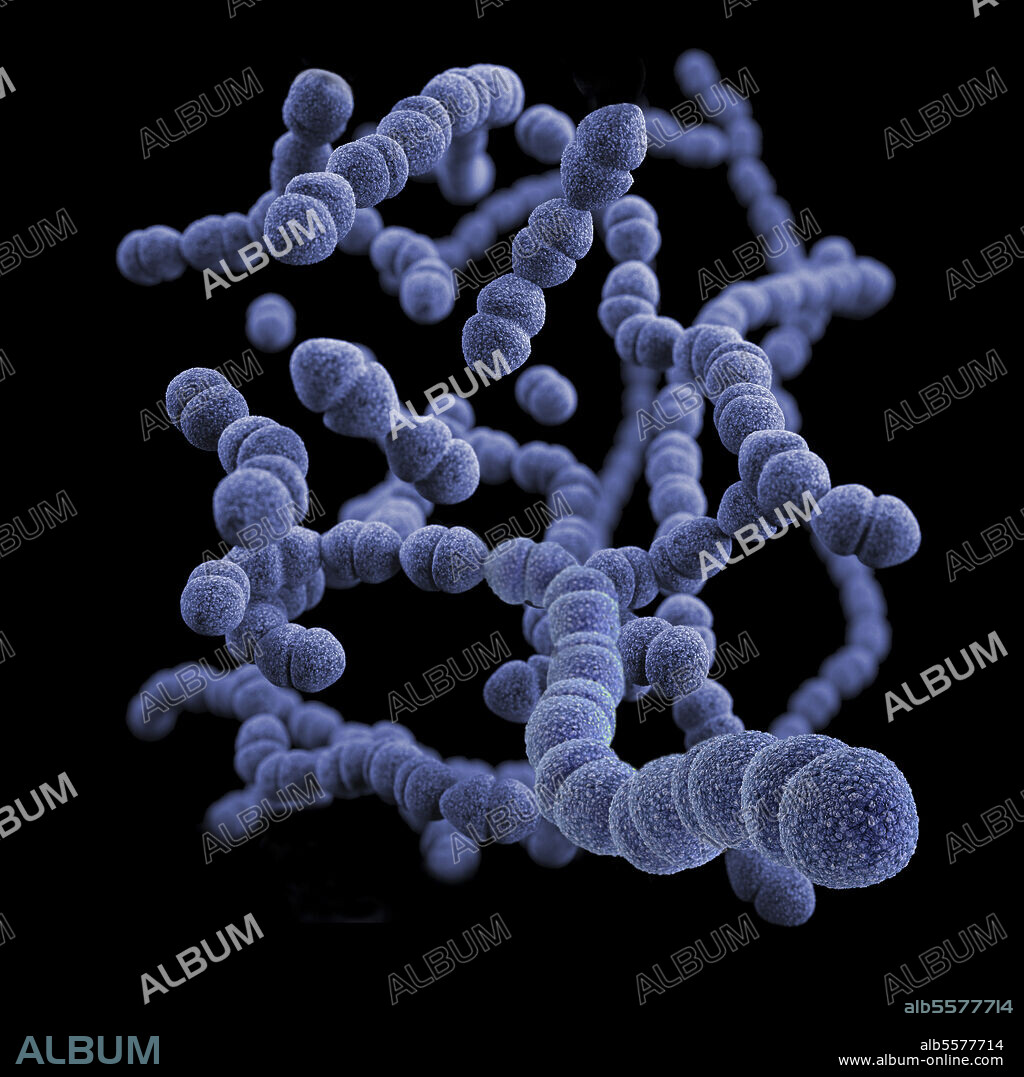 3D illustration of a group of gram-positive, Streptococcus pneumoniae bacteria. This artistic recreation is based upon scanning electron microscopic (SEM) imagery.