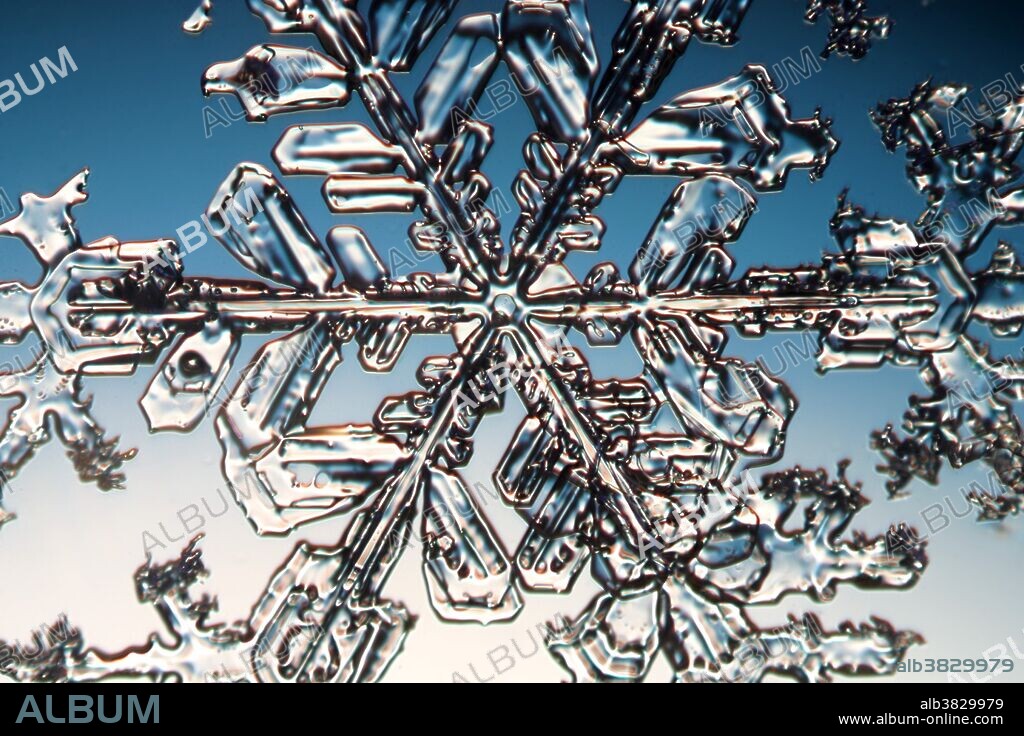 A snowflake or a snow crystal. This snow crystal is of a stellar crystal form, also called a dendritic snow crystal. This form of crystal is made in a cloud when water freezes into ice around -15C. This image has been edited to remove the dark background and show the shape of the crystal. Snowflakes show typical hexagonal symmetry (as seen here) if the crystallization occurs slowly, in a calm air and in temperatures near freezing point, they are commonly flat and may have different shapes such as six sided polygons or stars. The beautiful pattern is often very complicated with needle-like structures and tiny bridges. Since the final stage is influenced by the weather conditions in which they form, no two snowflakes are identical.