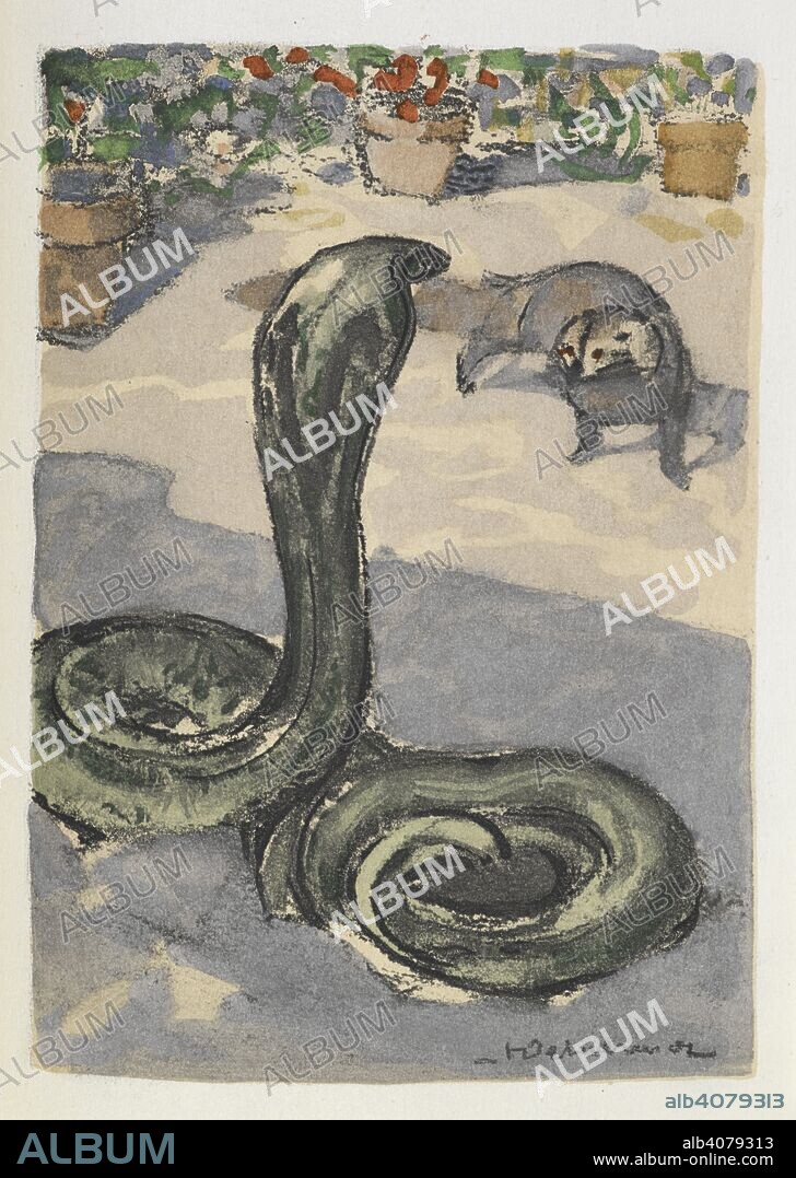 RUDYARD KIPLING. A cobra and a mongoose. Le Second livre de la Jungle. Traduction de Louis Fabulet et Robert d'HumieÌ€res. Paris, [1899]. Source: File 617 opposite page 136.