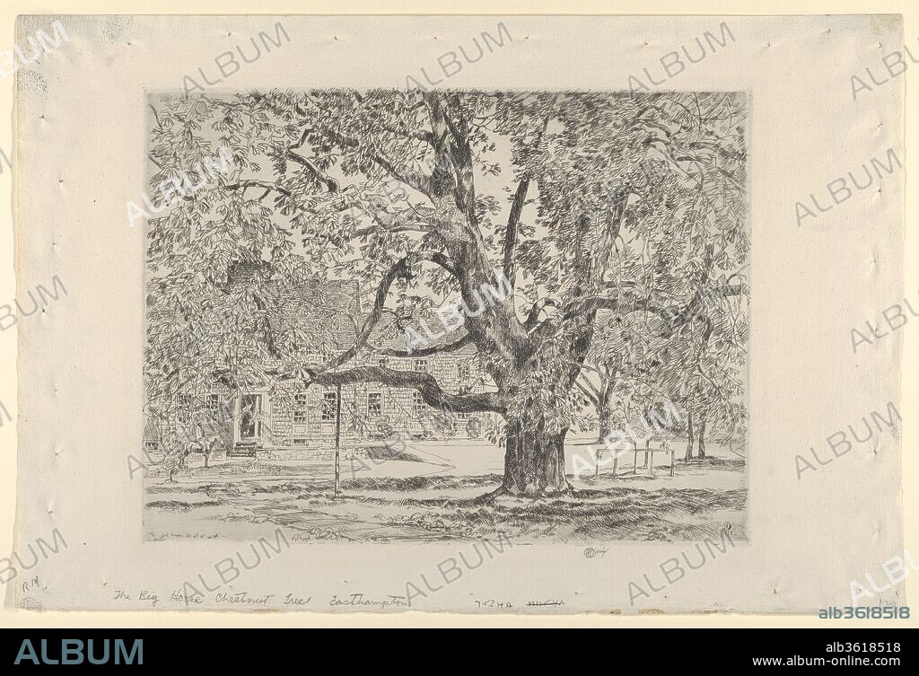 The Big Horse Chestnut Tree, Easthampton. Artist: Childe Hassam (American, Dorchester, Massachusetts 1859-1935 East Hampton, New York). Dimensions: Plate: 8 3/4 x 11 11/16 in. (22.2 x 29.7 cm)
Sheet: 11 1/2 x 17 1/4 in. (29.2 x 43.8 cm)
Frame: 16 x 21 in. (40.6 x 53.3 cm). Date: 1928.