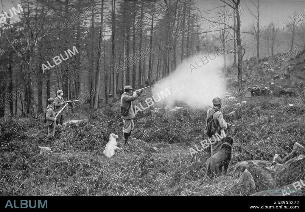'In The Coverts', c1902, (1903). A shooting party. From The Sports of the World, by F. G. Aflalo, F.R.G.S., F.Z.S. [Cassell and Company, Limited, London, Paris, New York & Melbourne, 1903].