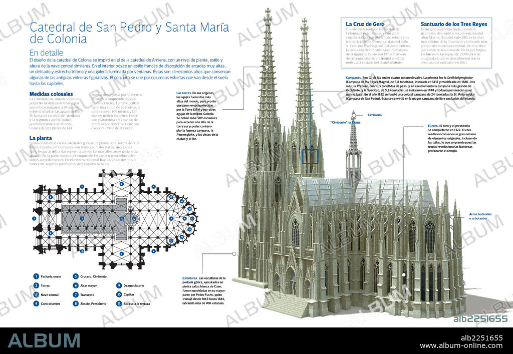 Cathedral of Saint Peter and Saint Mary in Cologne. Infographic of the High Cathedral of Sts. Peter and Mary in Cologne (Germany), of Gothic style and dedicated to St. Peter and St. Mary. Its construction started in 1239 and was finished in 1880.