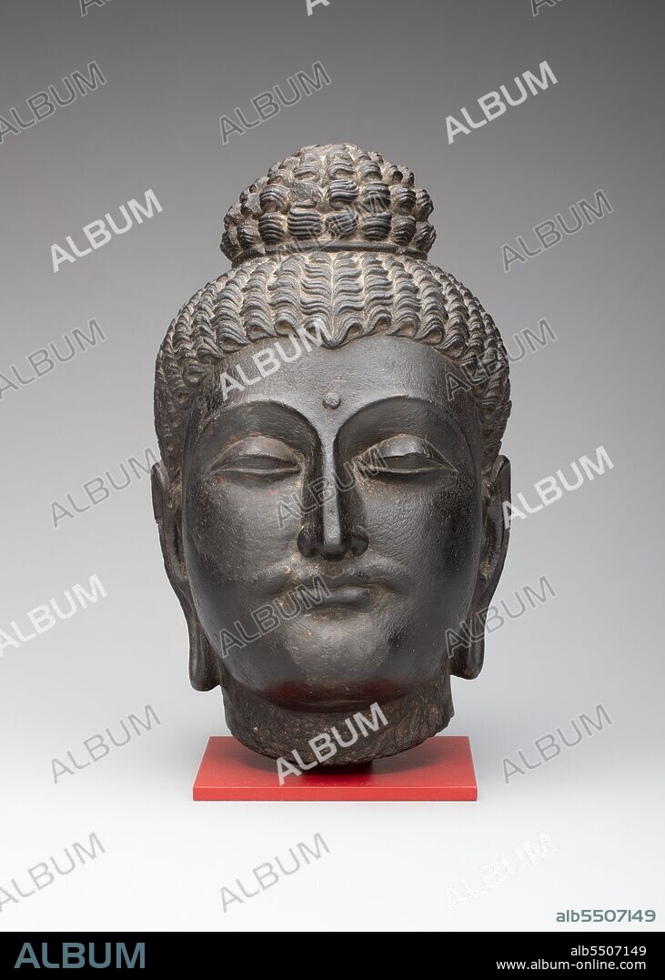 Head of Buddha, Kushan period, 2nd/3rd century. Ancient region of Gandhara (modern Pakistan).