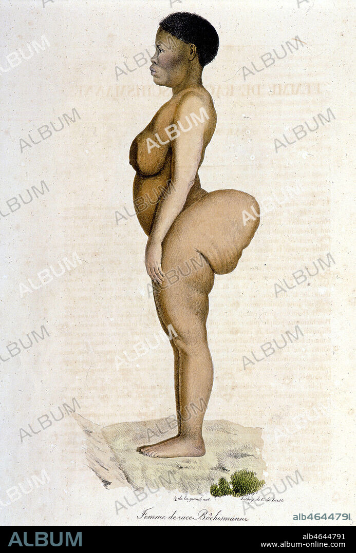 "Femme de race bochismann": hottentote de profil. Gravure in Histoire naturelle des mammifères, 1824 par Geoffroy Saint-Hilaire E. et Cuvier F.. Collection Mx/Kharbine-Tapabor.