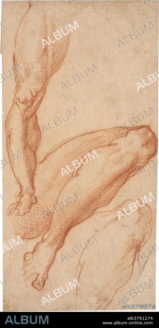 Antonio Mini (Workshop of Michelangelo (Michelangelo Buonarroti)) / 'Three studies of a right leg'. First half of the XVI century. Red chalk on yellow paper.