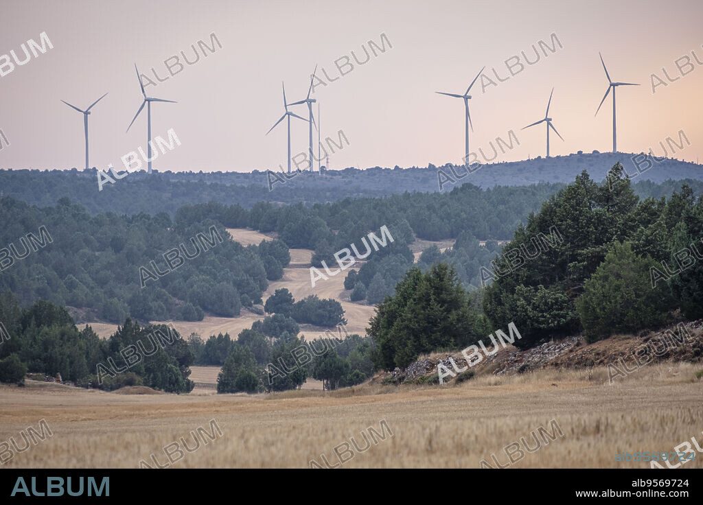 Sierra Solorio, Soria, comunidad autónoma de Castilla y León, Spain, Europe.