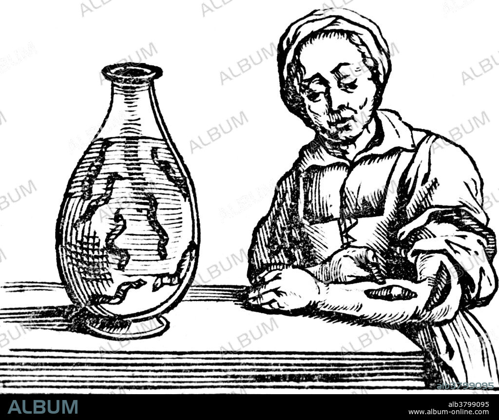 Woodcut of a woman standing at a table has placed a leech on her left forearm; on the table is a large jar containing leeches. Bloodletting was based on an ancient system of medicine in which blood and other bodily fluid were considered to be "humors" the proper balance of which maintained health, but it often weakened sick patients. It was the most common medical practice performed by doctors from antiquity up to the late 19th century, a time span of almost 2,000 years. Leeches could also be used. The withdrawal of so much blood as to induce syncope (fainting) was considered beneficial, and many sessions would only end when the patient began to swoon.