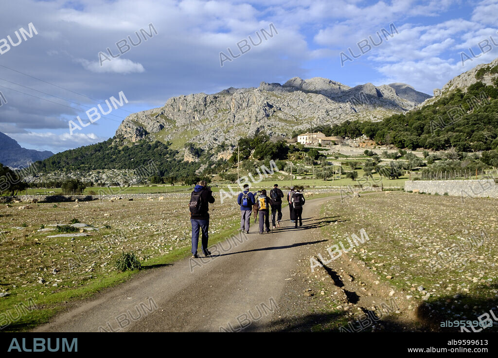 finca de Mossa, Puig Roig, 1003 metros, Escorca, sierra de Tramuntana, Mallorca, balearic islands, spain, europe.