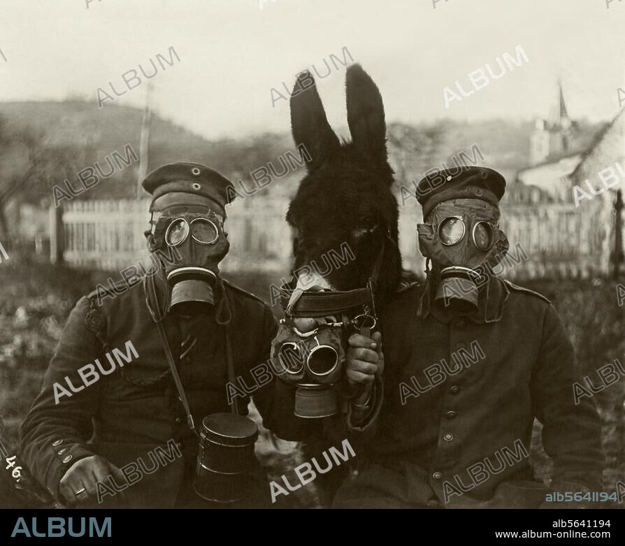 Militär:. Gasmaske. Deutsche Soldaten und Maultier mit Gasmasken während des 1. Weltkriegs an der Westfront. Foto, 1917. Berlin, Sammlung Archiv für Kunst und Geschichte.
