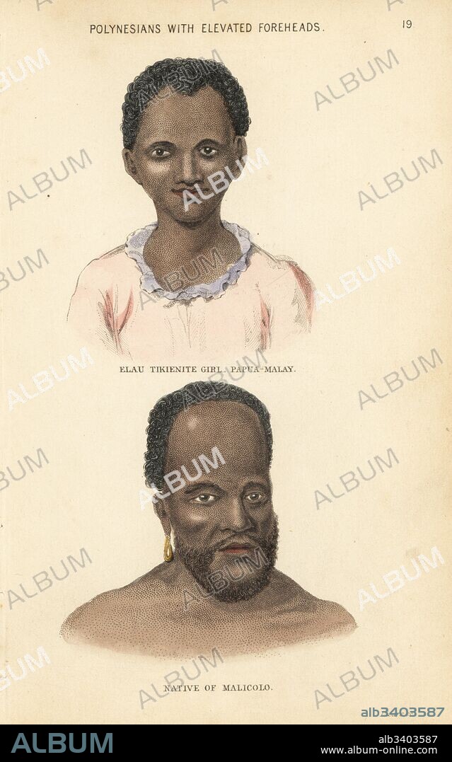 Elau, a Papua-Malay girl from the cannibal island of Tikiene, and a man of Malakula, Vanuatu (Malicolo). Polynesians with elevated foreheads. Handcoloured steel engraving by Lizars after an illustration by Charles Hamilton Smith from his Natural History of the Human Species, Edinburgh, W. H. Lizars, 1848.