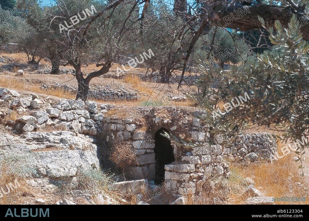 Jerusalem (Israel), Garten Gethsemane (am Ölberg über dem Kidrontal gelegen).-Ansicht.-Foto, undat.