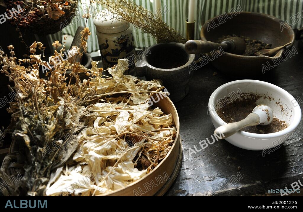 MUSEO DE LA FARMACIA. Mesa de un herbolario antiguo con mortero para triturar las semillas de las plantas medicinales. Turku. Finlandia. Norte Europa.