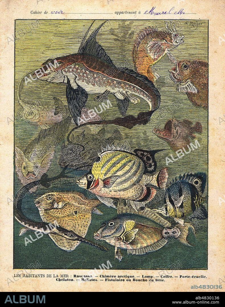 'Les habitants de la mer : Rascasse, chimere arctique, lomp, coffre, porte-ecuelle, cheloton, balistes, fistulaire ou bouche en flute'. Protege-cahier vers 1910. Illustration par E. Rocher. Credit : IM/KHARBINE-TAPABOR.