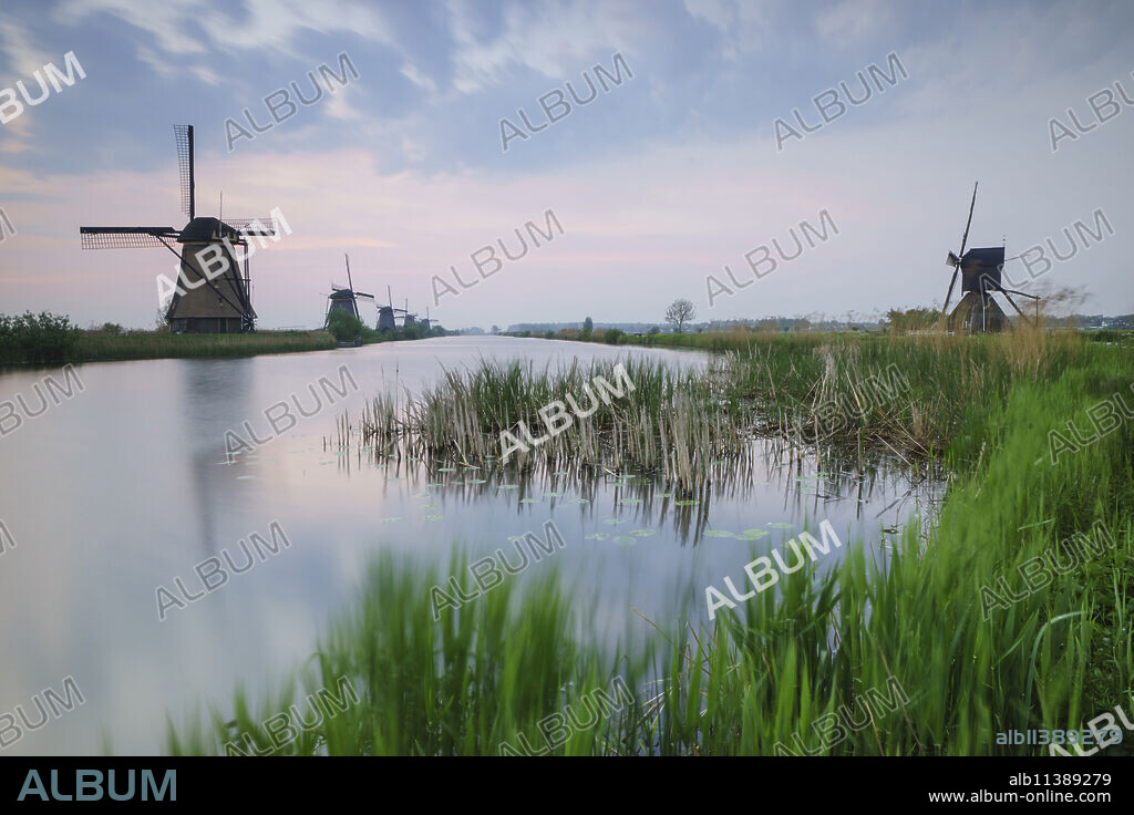 Green grass frames the windmills reflected in the canal at dawn, Kinderdijk, Rotterdam, South Holland, Netherlands, Europe.