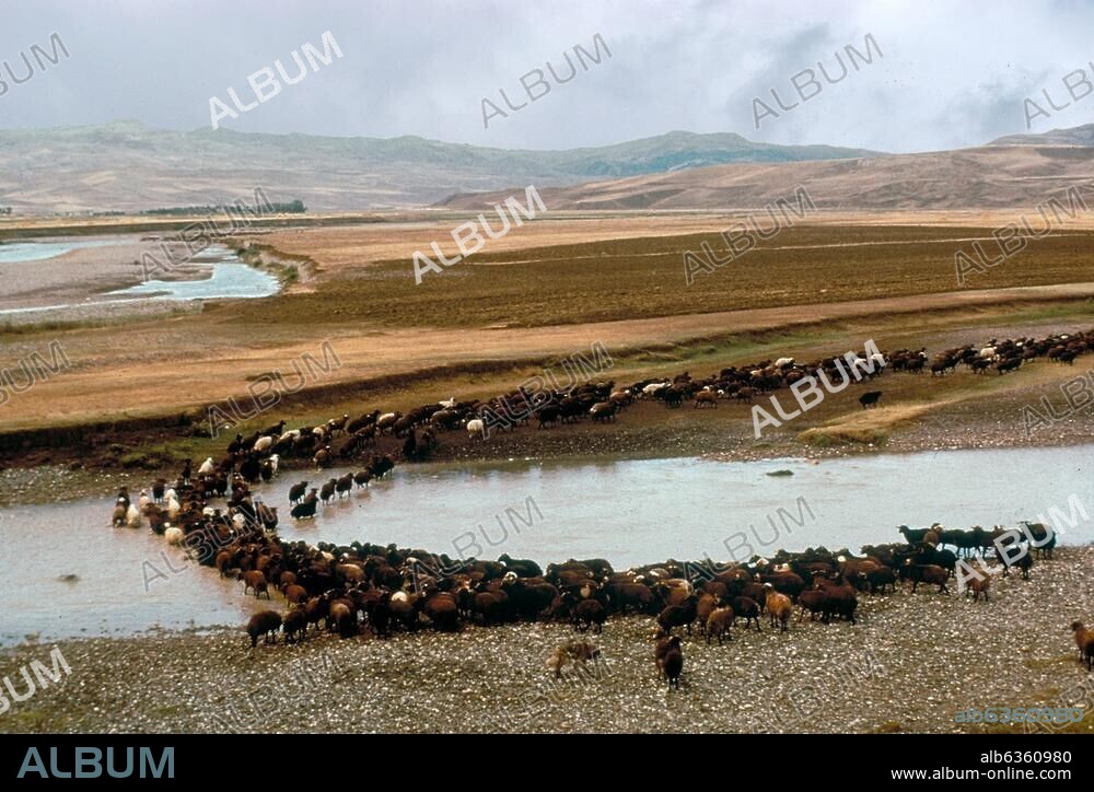 2192. RIVER EUPHRATES.