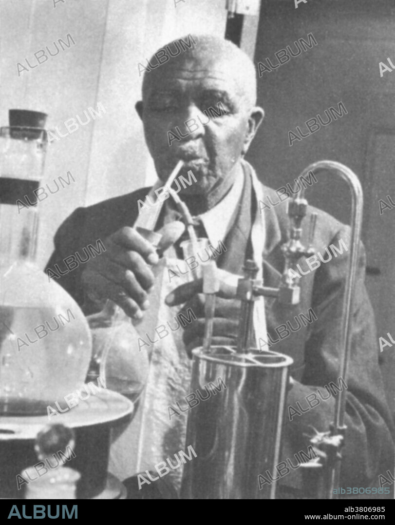 Carver at work in his laboratory in the 1940's. George Washington Carver (1864 - January 5, 1943) was an African-American scientist, botanist, educator, and inventor born into slavery. In 1891 he attended and studied botany at Iowa State Agricultural College where he was the first black student, and later taught as the first black faculty member. His reputation is based on his research into and promotion of alternative crops to cotton, such as peanuts, soybeans and sweet potatoes, which also aided nutrition for farm families. He wanted poor farmers to grow alternative crops both as a source of their own food and as a source of other products to improve their quality of life. As an agricultural chemist, Carver discovered three hundred uses for peanuts and hundreds more for soybeans, pecans and sweet potatoes. He died in 1943, at the age of 78. In 1977, he was elected to the Hall of Fame for Great Americans. In 1990, he was inducted into the National Inventors Hall of Fame. Carver is often referred to as "Father of Chemurgy".