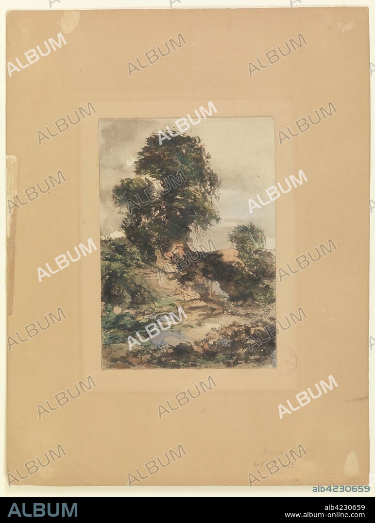 EUGENIO LUCAS VELAZQUEZ. Eugenio Lucas Velázquez / 'Paisaje (árbol)'. Segundo tercio del siglo XIX. Acuarela sobre papel, 160 x 110 mm.