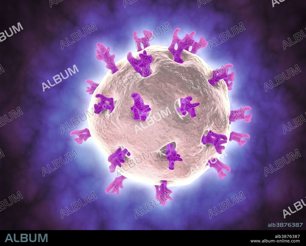 Microscopic view of rotavirus. Rotavirus is the most common cause of severe diarrhea among infants and young children. It is a genus of double-stranded RNA virus in the family Reoviridae.