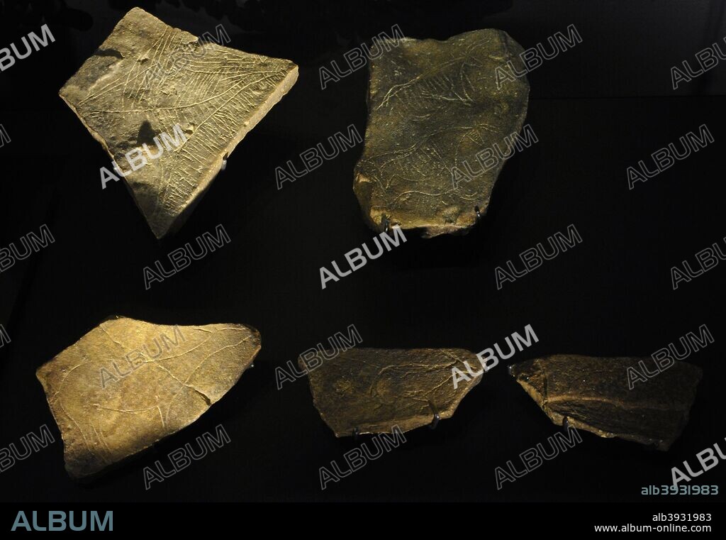 Paleolítico. Culturas Solutrense y Magdaleniense. Réplicas de algunas de las Plaquetas del Parpalló. Cueva del Parpalló (Gandía, provincia de Valencia). Museo Arqueológico Nacional. Madrid. España. (Originales en el Museo de Prehistoria de Valencia) .