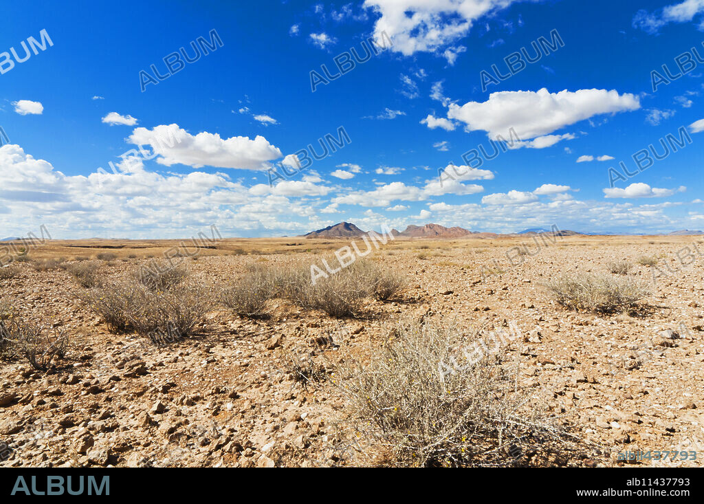 Namib desert, Namibia, Africa.