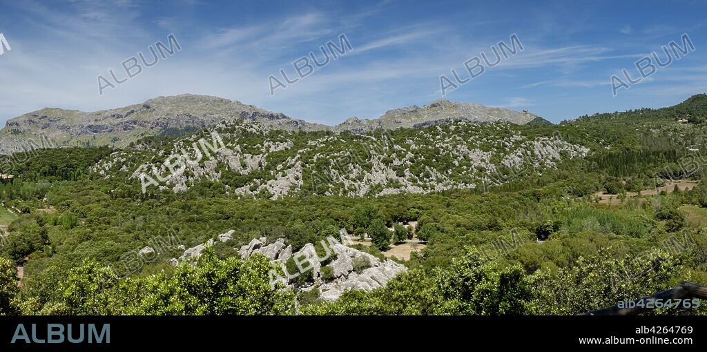 zona carstica del puig de ses Monges, valle de Lluc, Mallorca, balearic islands, spain, europe.