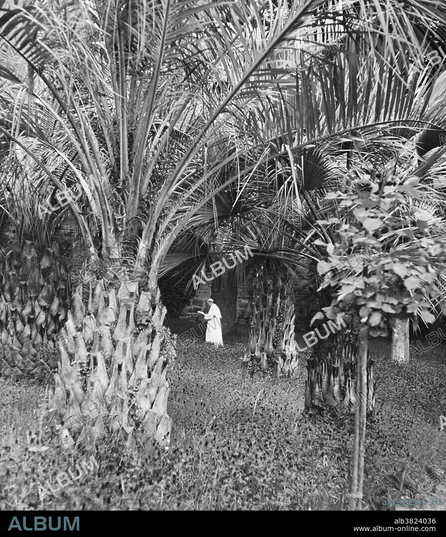 Pope Pius XII, photographed during his daily walk around the Vatican gardens.
