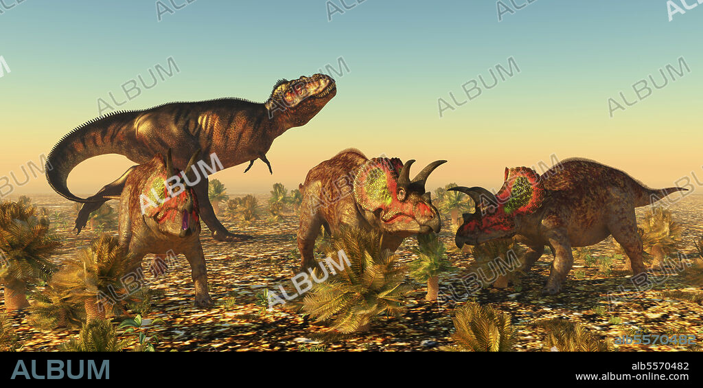 A group of male Triceratops dinosaurs become alarmed as a Tyrannosaurus rex carnivore eyes them as prey in Jurassic North America.