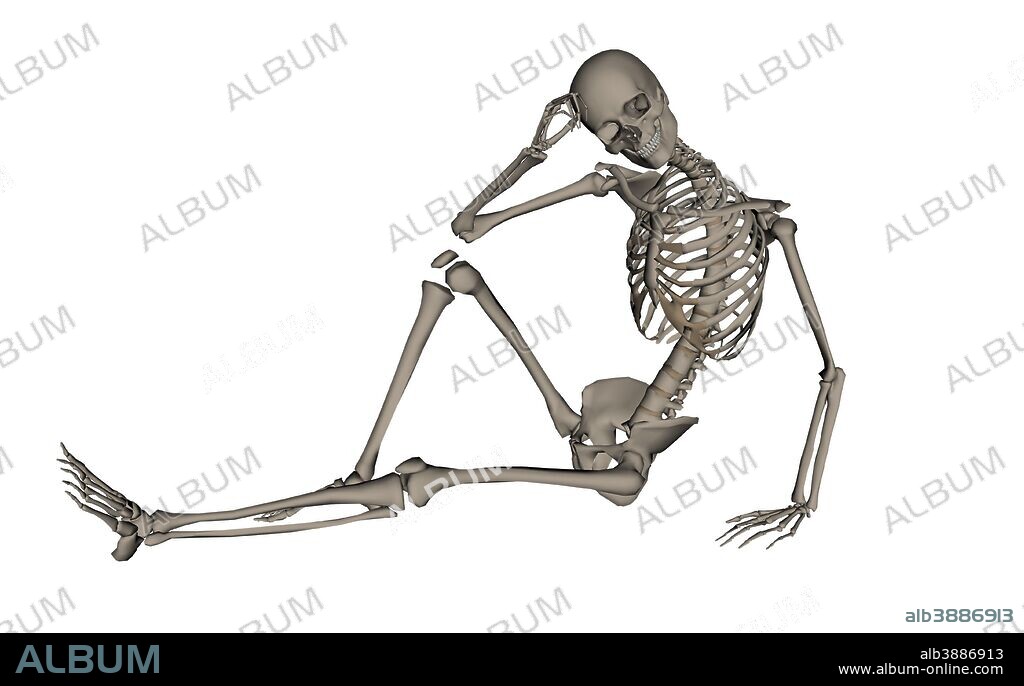 Front view of a human skeleton posing, isolated on white background.