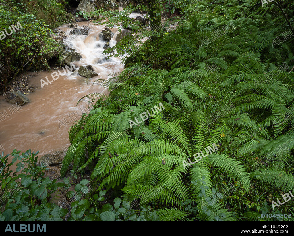 Bayones river, Saja-Besaya natural park, Cantabria, Spain.