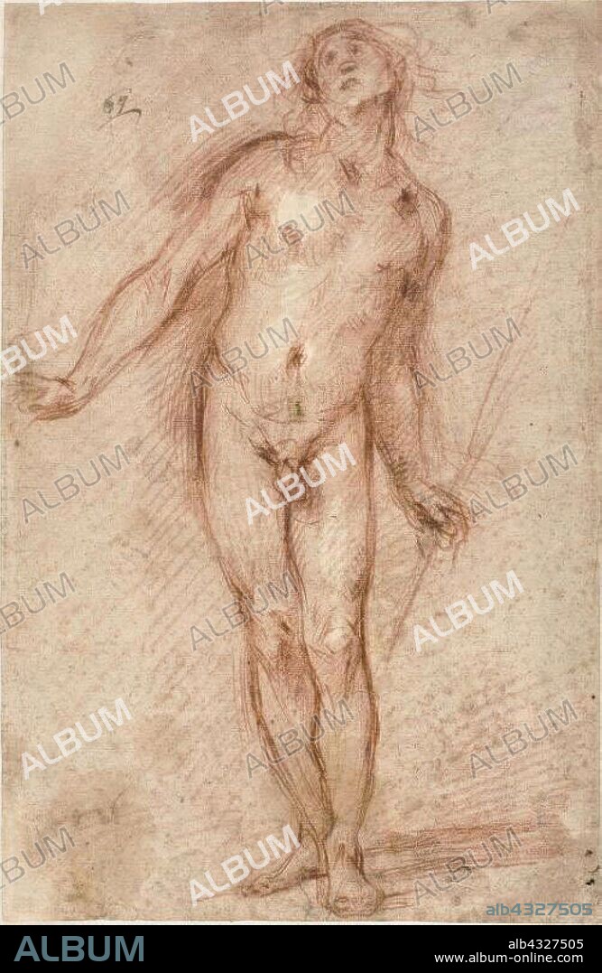 Standing Male Nude, 1637/38, Cecco Bravo, Italian, 1607-1661, Italy, Red chalk, heightened with traces of white chalk, on buff laid paper, 410 × 268 mm.