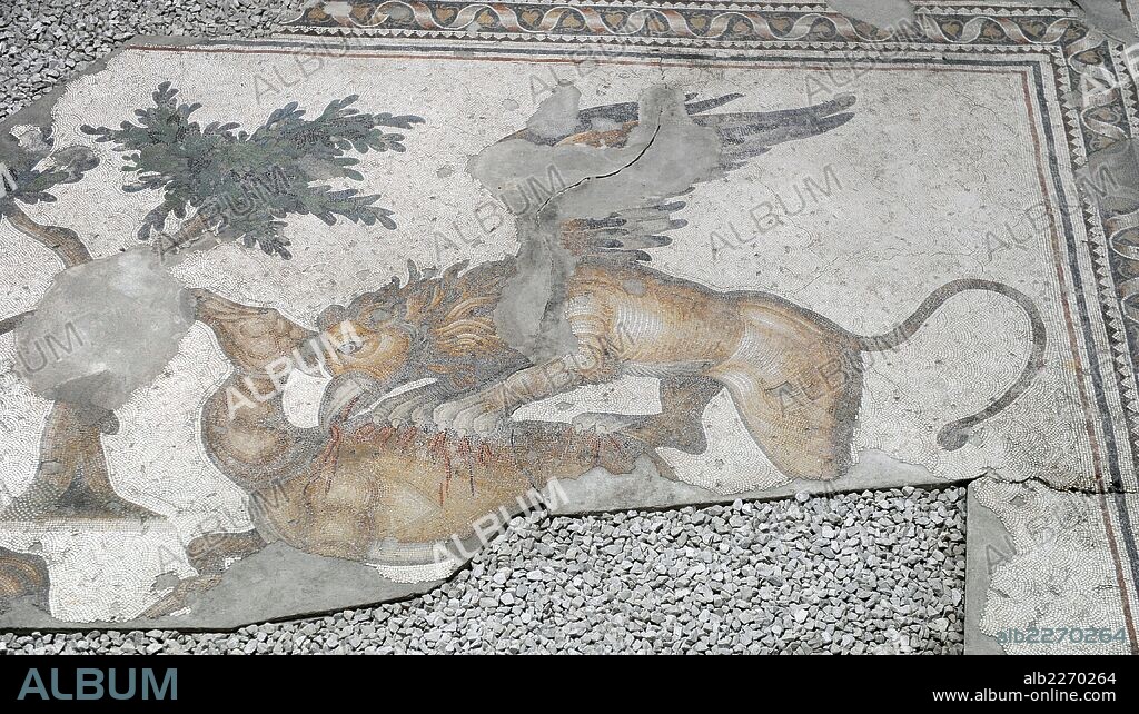 Great Palace of Constantinople (East Roman period). Detail of one of the mosaics that decorated the pavements. Fantastic winged animal attacking a deer. 4th-6th century. Great Palace Mosaics Museum. Istanbul, Turkey.