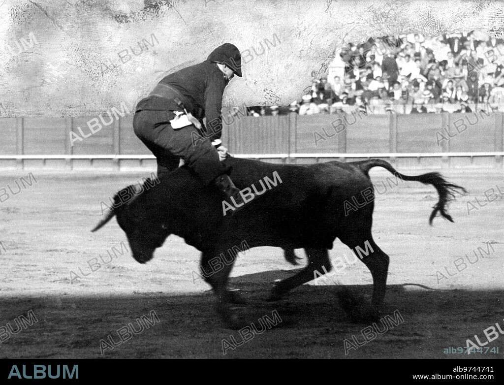 1950. Pablo Celis, el bombero Torero, Colocando un par de Banderillas Cortas en un espectacular Salto "A Pídola".