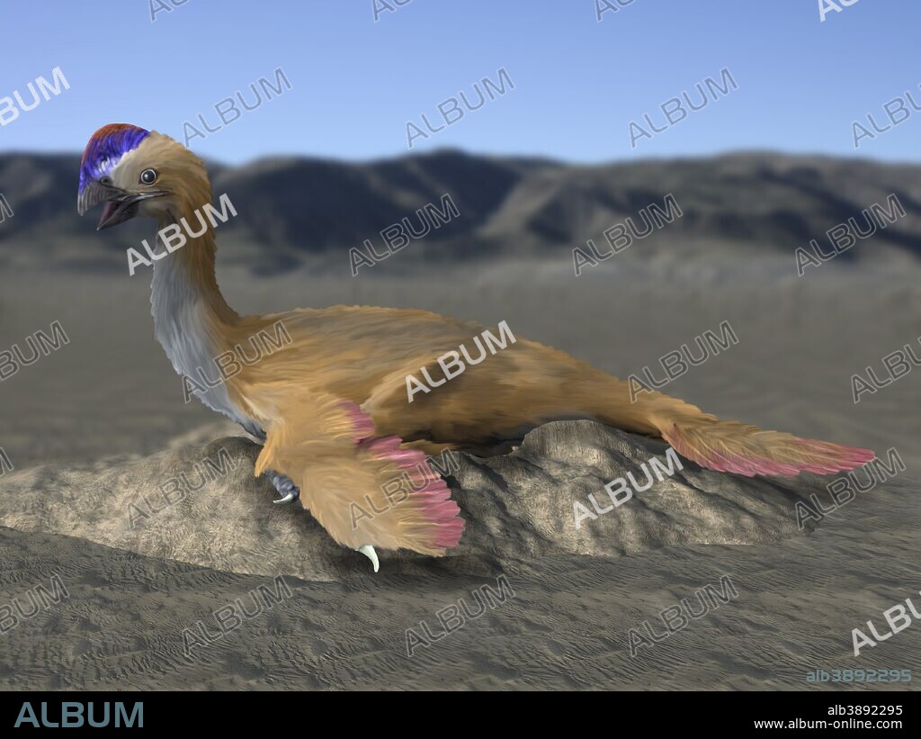 Oviraptor philoceratops, Theropoda, Late Cretaceous of Mongolia.