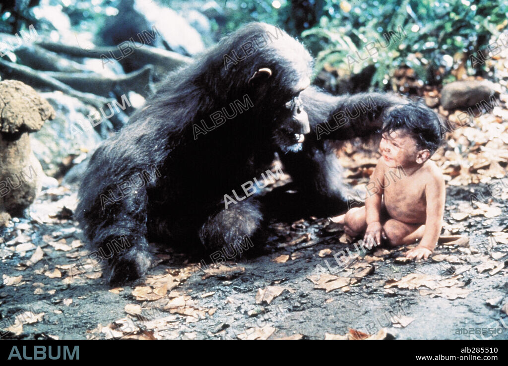 GREYSTOKE, LA LEYENDA DE TARZAN EL REY DE LOS MONOS, 1984 (GREYSTOKE: THE LEGEND OF TARZAN, LORD OF THE APES), dirigida por HUGH HUDSON. Copyright WARNER BROTHERS.