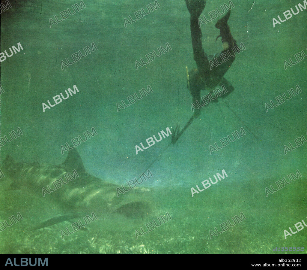 TINTORERA... TIGER SHARK, 1977 (TINTORERA).