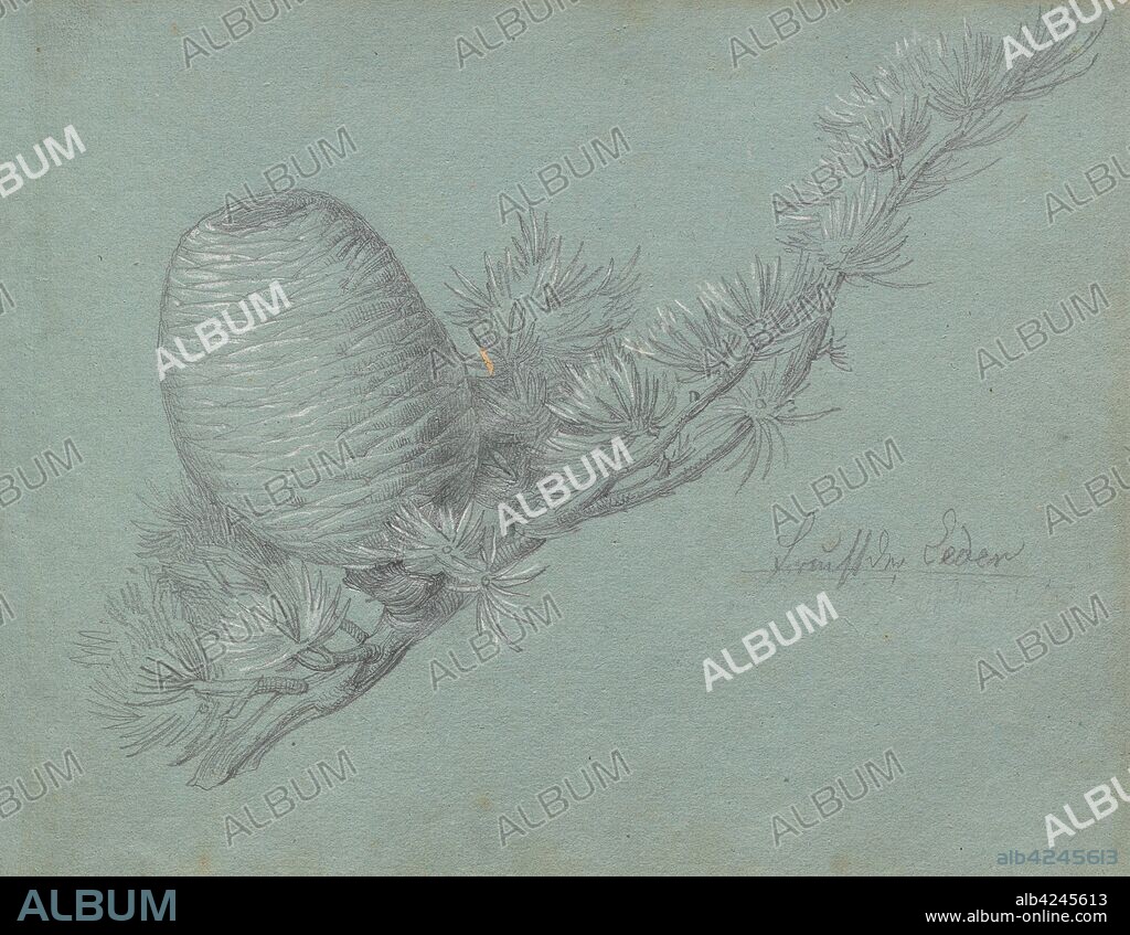 Album with Views of Rome and Surroundings, Landscape Studies, page 49a: Study of a Evergreen Branch with Pinecone. Franz Johann Heinrich Nadorp (German, 1794-1876). Graphite with white heightening on blue paper;.