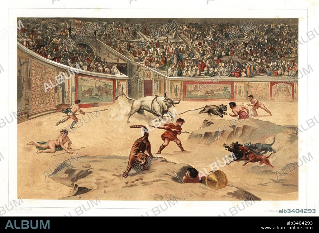 Interior of Pompeii ampitheatre during the Games. Naked gladiators battle wild animals, bulls, boars and tigers in the arena as part of a Venatio. Chromolithograph by Dietrich after an illustration by G. Cel from Antonio Niccolini’s Pompeii: Views and Restorations (Pompeii: Essaies et Restaurations), published by Fausto Niccolini, Naples, 1898. Antonio was grandson of the architect Antonio Niccolini Sr.