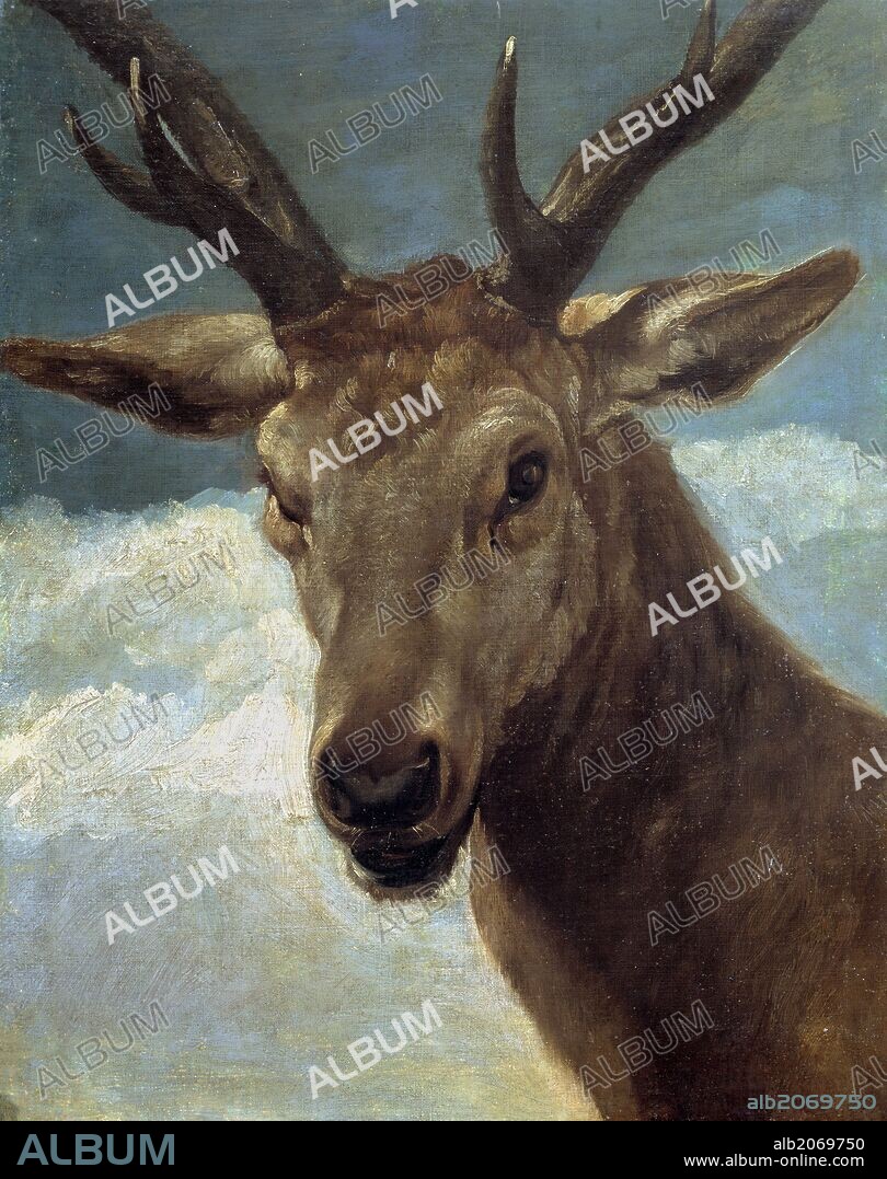 DIEGO VELÁZQUEZ. Diego Rodríguez de Silva y Velázquez / 'Cabeza de venado', Hacia 1634, Escuela Española, Óleo sobre Lienzo, 66 cm x 52 cm, P03253.