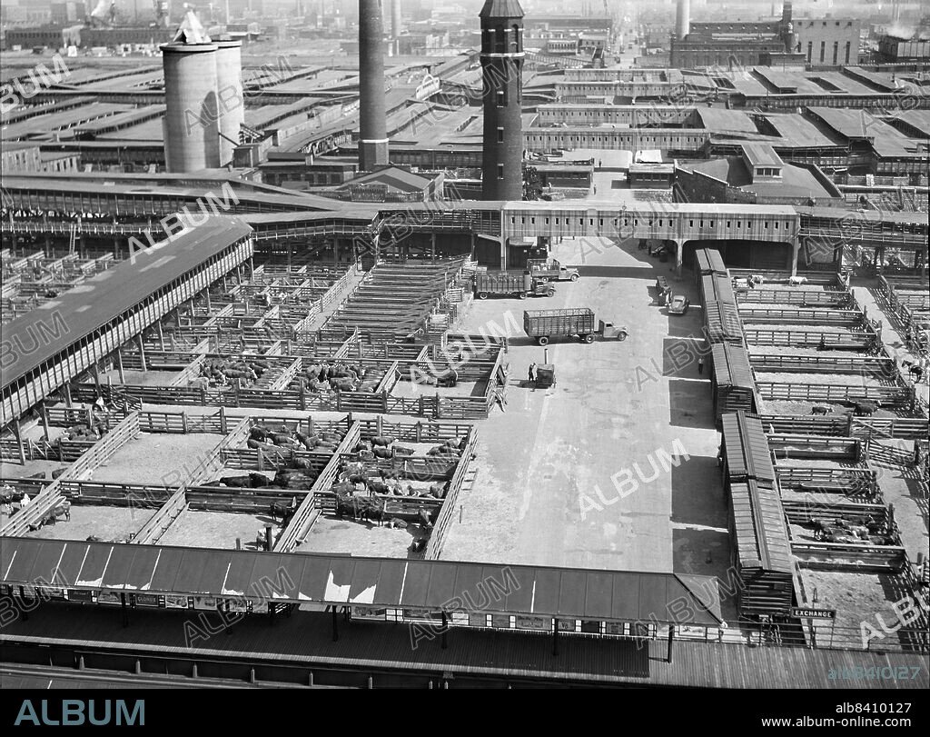 Union Stock Yards, Chicago, Illinois, USA, John Vachon, U.S. Office of War Information/U.S. Farm Security Administration, July 1941.