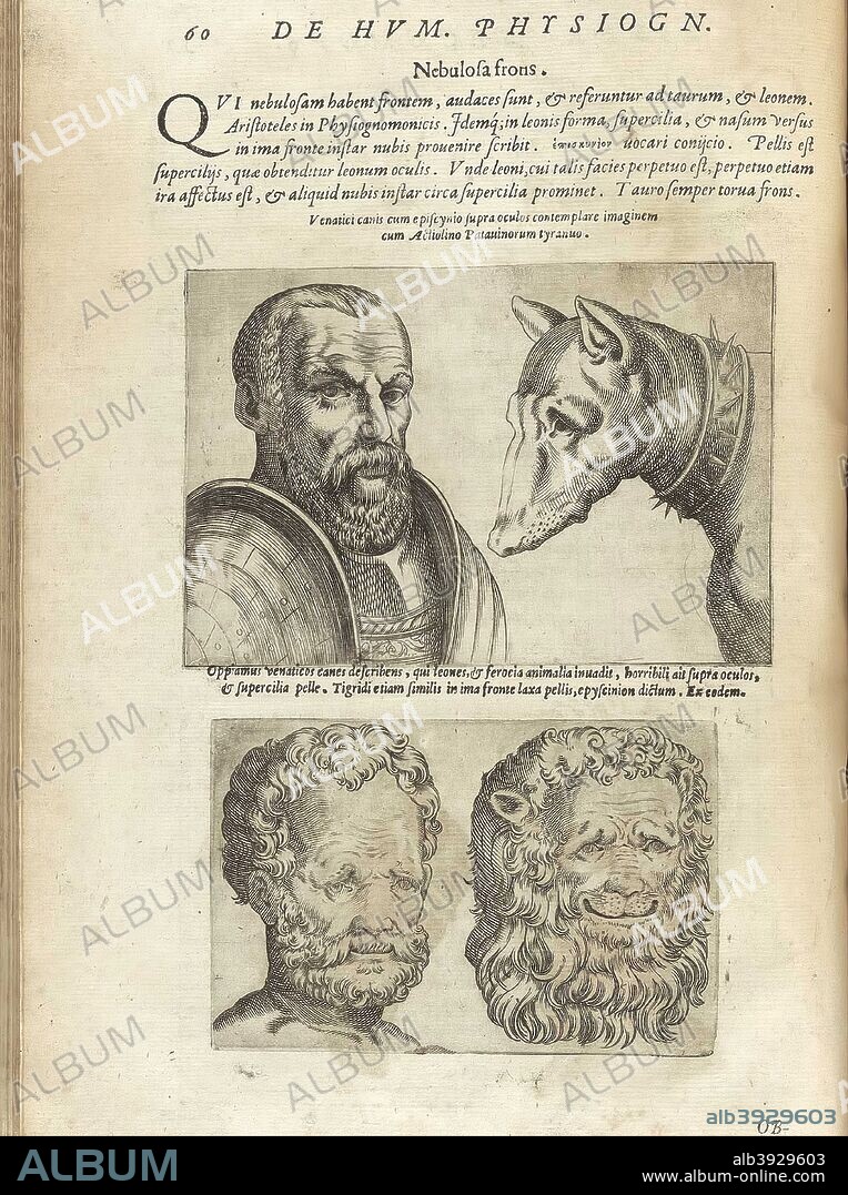 Giambattista della Porta / Illustration on Physiognomy from 'De humana physiognomonia libri IIII', 1586.