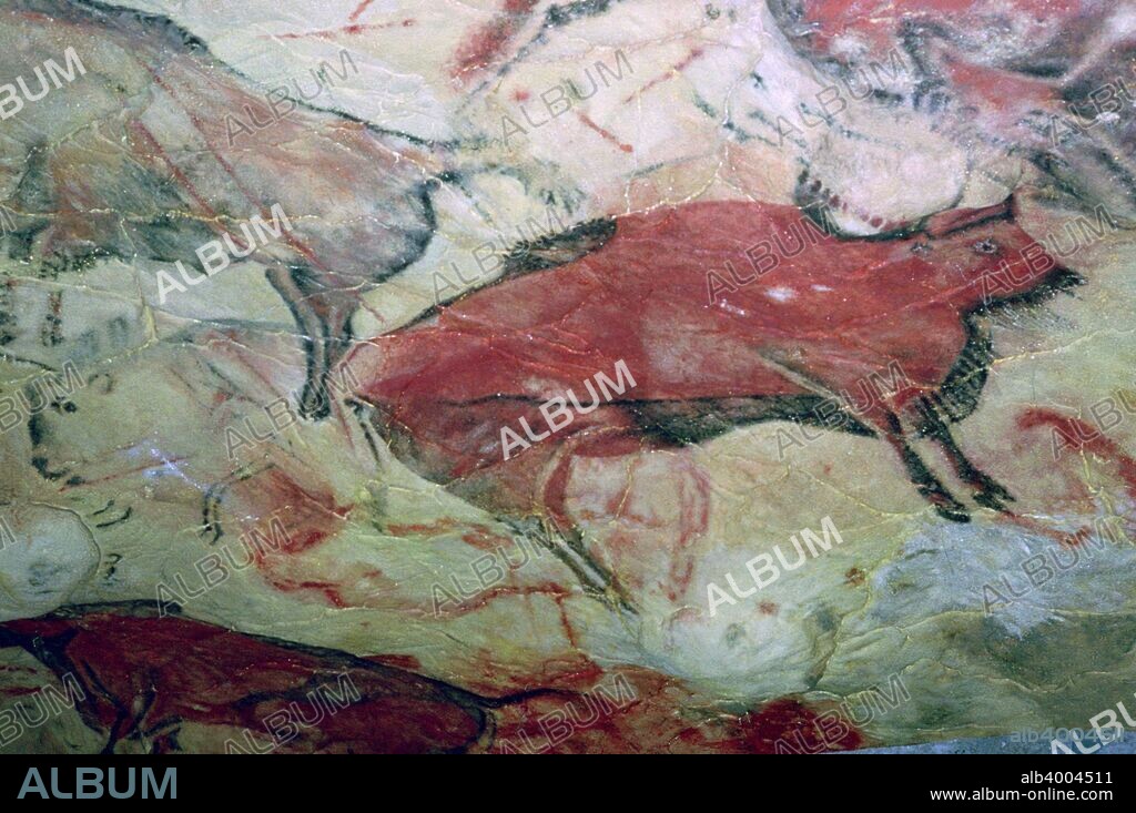 A paleolithic cave painting of Aurochs from Altamira, Spain.