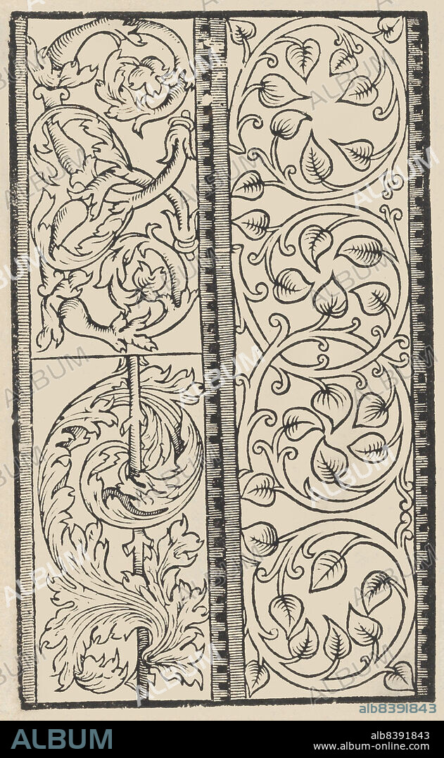 MATTEO PAGANO. Trionfo Di Virtu. Libro Novo..., page 22 (verso), 1563.