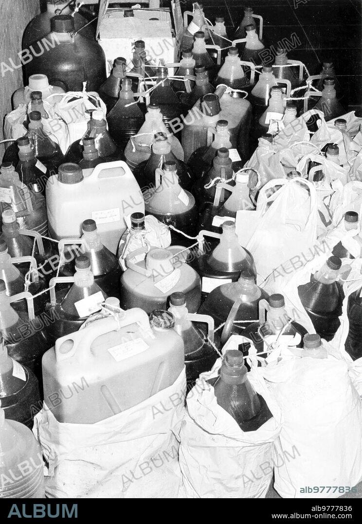29 junio 1981. Garrafas con aceite de colza causante del síndrome tóxico.
