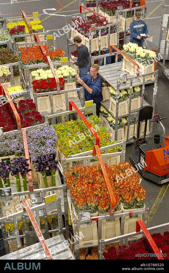 Distribution hall, Flower Auction (Bloemenveiling) Aalsmeer. Netherlands.