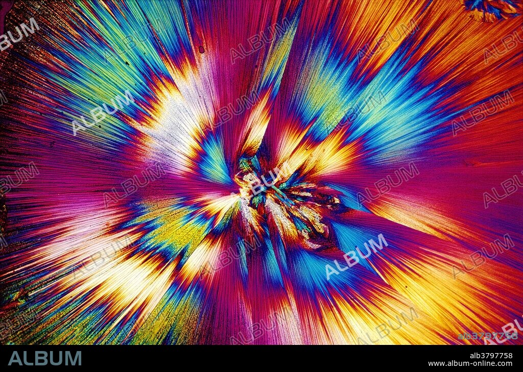 Polarized light micrograph (PLM) of tylenol (acetaminophen). Tylenol is commonly used as an analgesic for mild pain and as an antipyretic. Magnification: 4x.