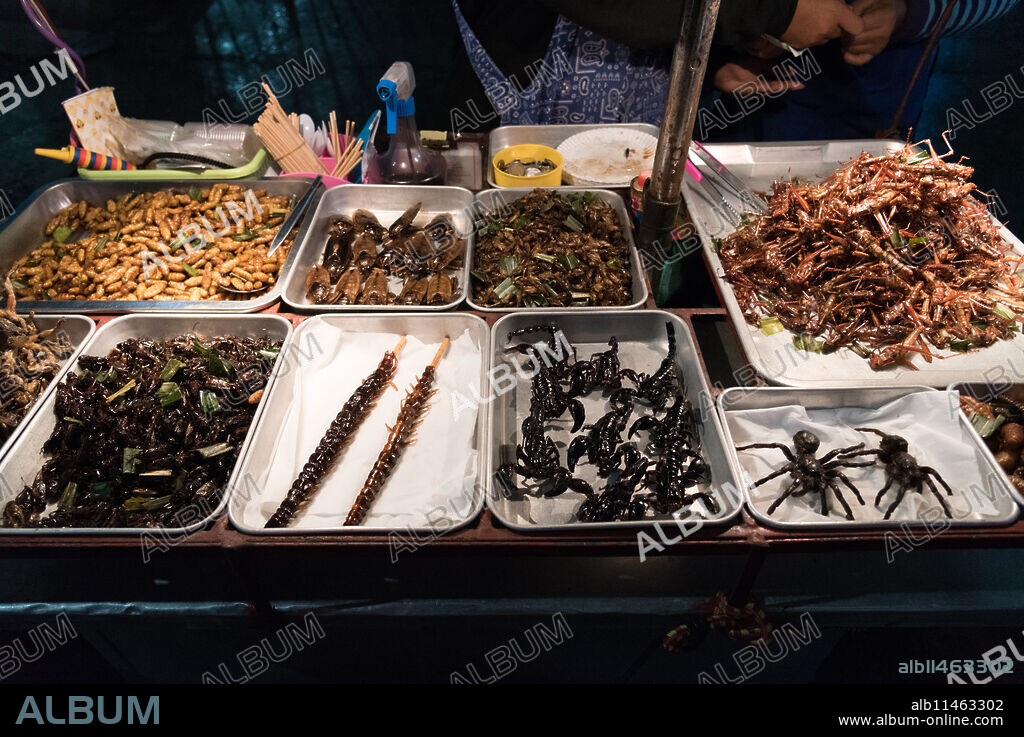 Street food of deep fried insects and bugs, Bangkok, Thailand, Southeast Asia, Asia.