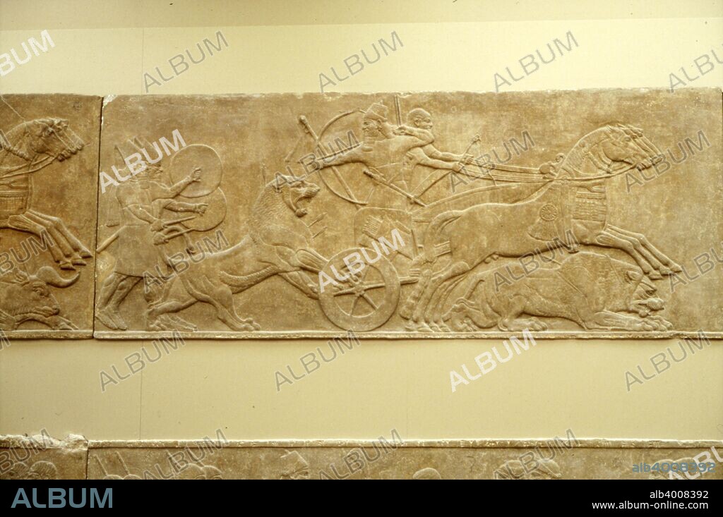 Ashurnasirpal II killing lions, c645 BC-635 BC. The royal Lion Hunt of Ashurbanipal. Assyrian palace relief from the North Palace of Nineveh, captured Asian lions were released from cages for the king to slaughter with arrows, spears, or his sword. Displayed at the British Museum.